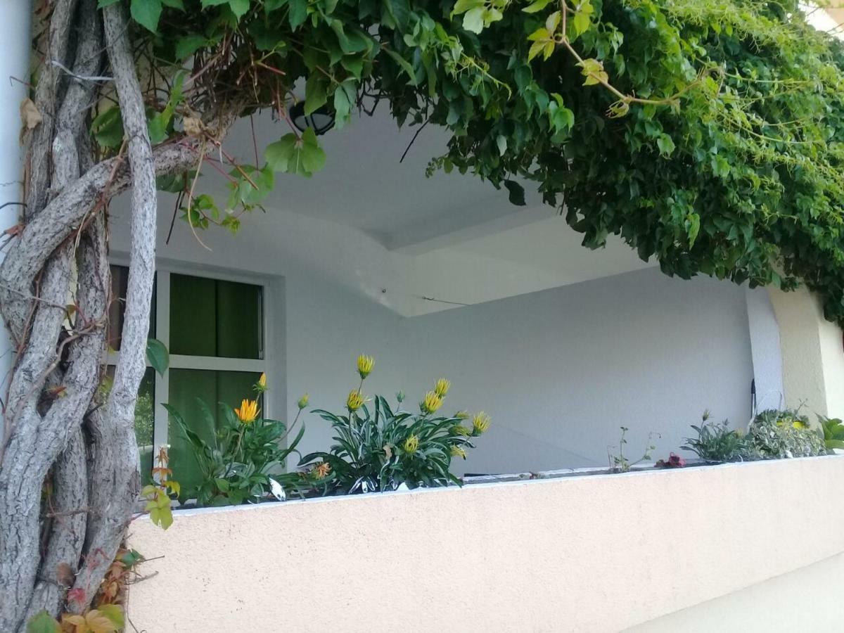 Montenegrina Apartment 布德瓦 外观 照片